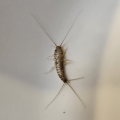 Unverified at suppressed - suppressed