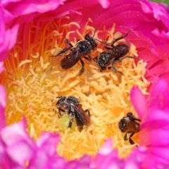 Unverified at suppressed - suppressed