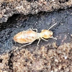 Unverified at suppressed - suppressed