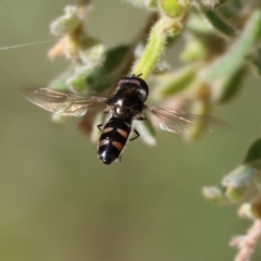 Unidentified at suppressed - 26 Aug 2023