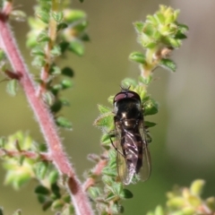 Unidentified at suppressed - 26 Aug 2023