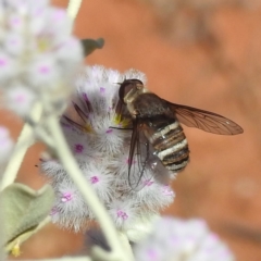 Unidentified at suppressed - 30 Aug 2023