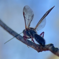 Unidentified at suppressed - 5 Sep 2023