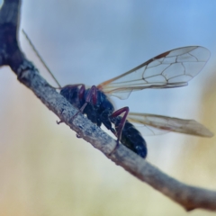 Unidentified at suppressed - 5 Sep 2023