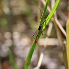 Unidentified at suppressed - 6 Sep 2023