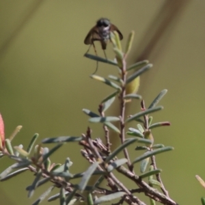 Unidentified at suppressed - 7 Sep 2023