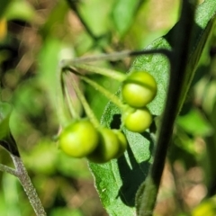 Unidentified at suppressed - 9 Sep 2023