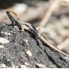 Unverified at suppressed - suppressed