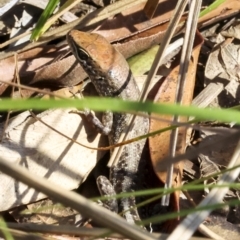 Unverified at suppressed - suppressed