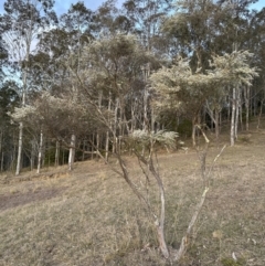 Unidentified at suppressed - 12 Sep 2023