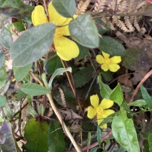 Unidentified at suppressed - 12 Sep 2023