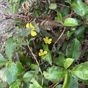 Unidentified at suppressed - 12 Sep 2023