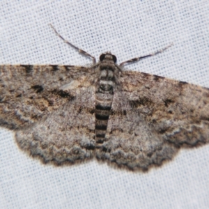 Unplaced suasaria at suppressed - 4 Aug 2007