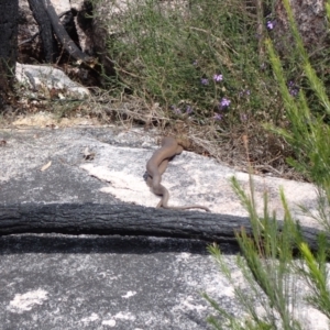Unidentified at suppressed - 13 Sep 2023