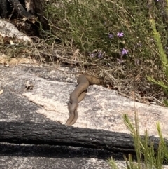 Unidentified at suppressed - 13 Sep 2023
