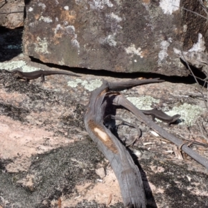 Unidentified at suppressed - 13 Sep 2023