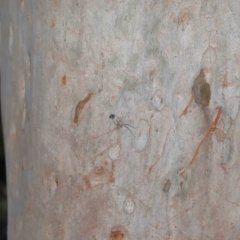 Unidentified at suppressed - 27 Aug 2023