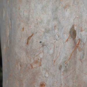 Unidentified at suppressed - 27 Aug 2023