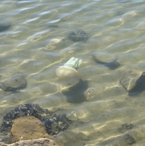 Unidentified at suppressed - 17 Sep 2023