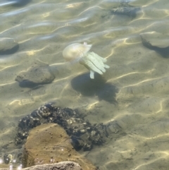 Unidentified at suppressed - 17 Sep 2023
