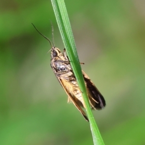 Unidentified at suppressed - 16 Sep 2023