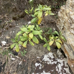 Unidentified at suppressed - 11 Sep 2023