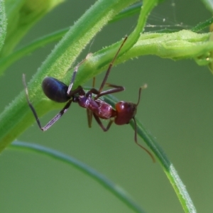 Unidentified at suppressed - 16 Sep 2023