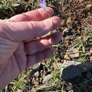 Unidentified at suppressed - 17 Sep 2023