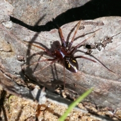 Unidentified at suppressed - 16 Sep 2023