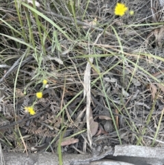 Unverified at suppressed - suppressed