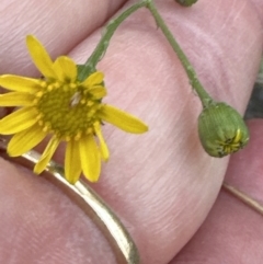 Unverified at suppressed - suppressed