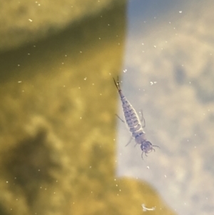 Unidentified at suppressed - 11 Sep 2023