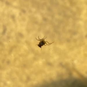 Unidentified at suppressed - 11 Sep 2023