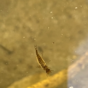 Unidentified at suppressed - 11 Sep 2023
