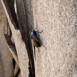 Unidentified at suppressed - 18 Sep 2023