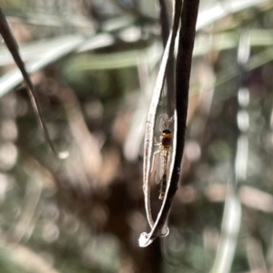 Unidentified at suppressed - 16 Sep 2023