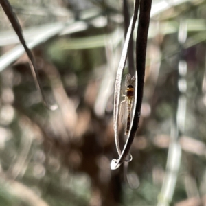 Unidentified at suppressed - 16 Sep 2023