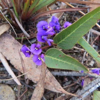 Hardenbergia violacea (False Sarsaparilla) at Bombay, NSW - 21 Sep 2023 by MatthewFrawley