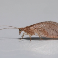 Unverified at suppressed - suppressed