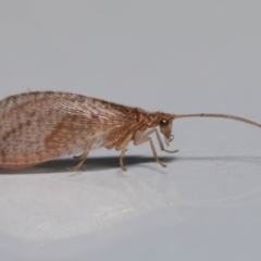 Unverified at suppressed - suppressed