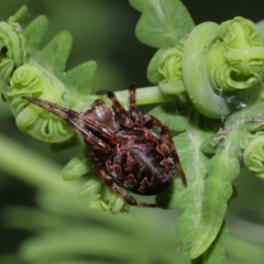 Unverified at suppressed - suppressed