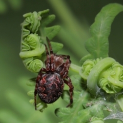 Unverified at suppressed - suppressed