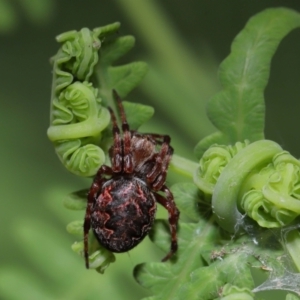 Unverified at suppressed - suppressed