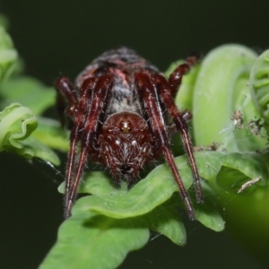 Unverified at suppressed - suppressed