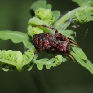 Unidentified at suppressed - 21 Sep 2023