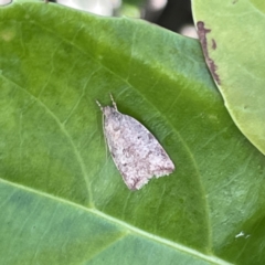 Unverified at suppressed - suppressed