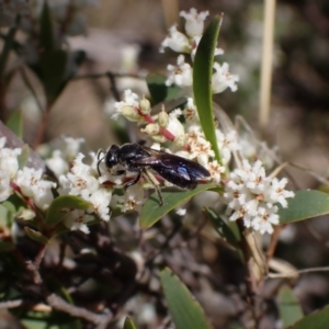 Unidentified at suppressed - 24 Sep 2023