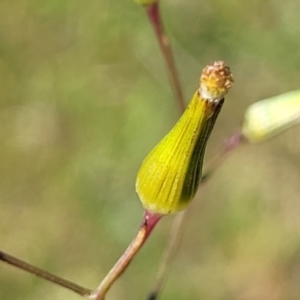 Unidentified at suppressed - 7 Oct 2023