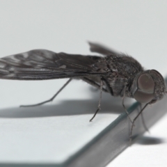 Unverified at suppressed - suppressed