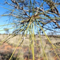 Unidentified at suppressed - 28 Jul 2023